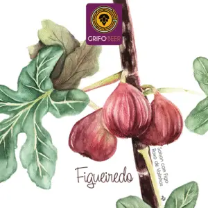 Figueiredo - Growler 1L