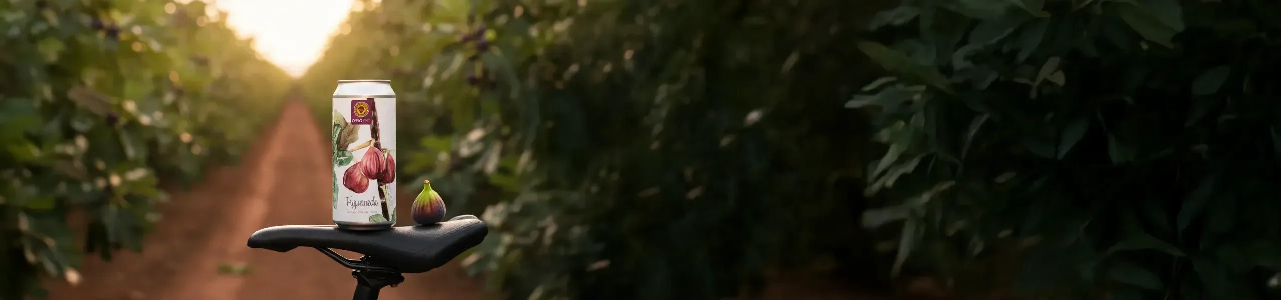 Figueiredo - Saison com Figos de Valinhos